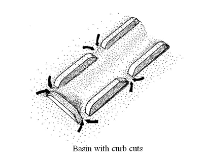 Basin with curb cuts